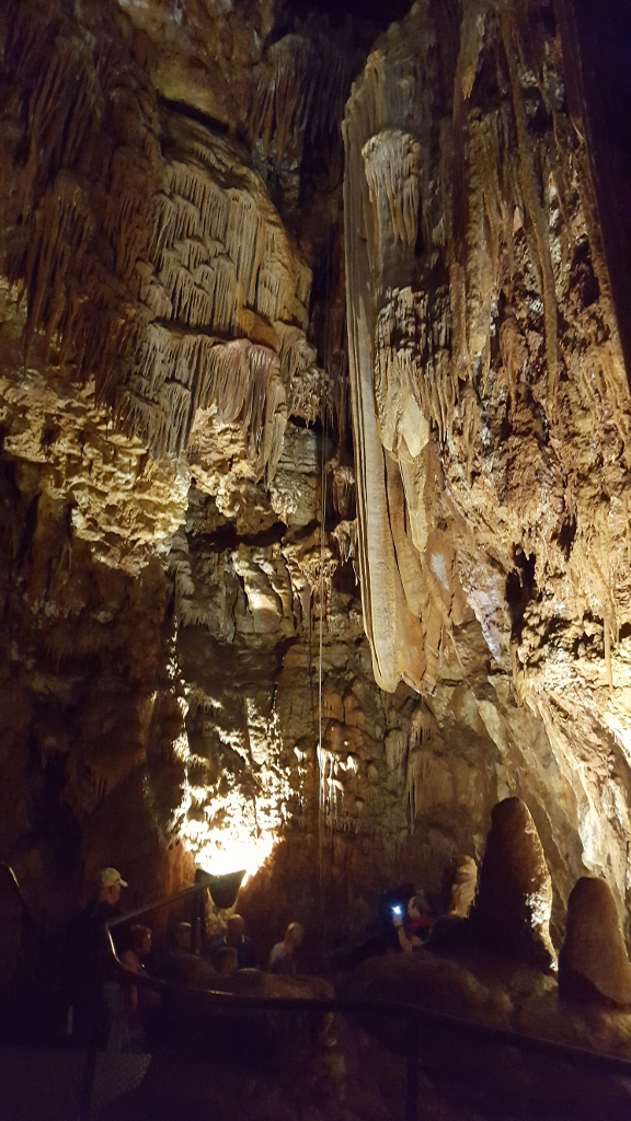 20180916_114625 (576 x 1024)