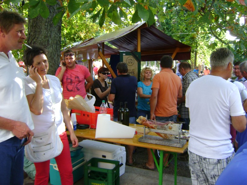 slika15