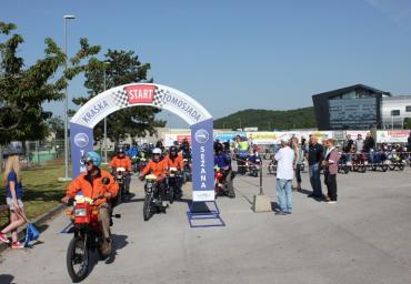 IMG_0380 (800 x 533)