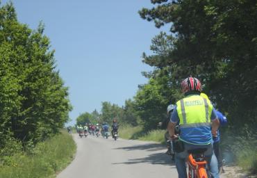 IMG_0468 (800 x 533)