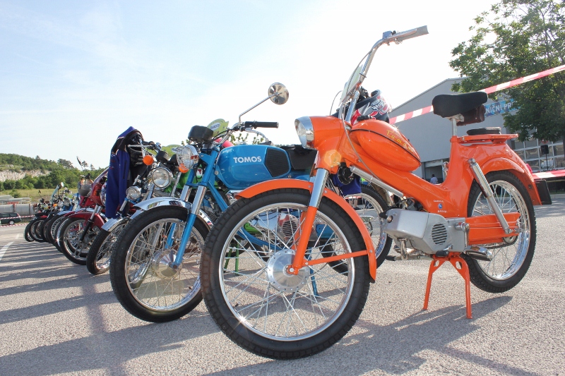 IMG_0351 (800 x 533)